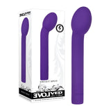 Evolved Sweet Spot -  20 cm USB Rechargeable Vibrator